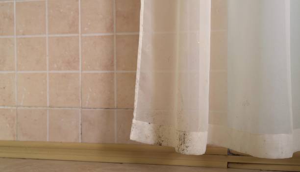 Best Real Estate Mold Inspection  in Los Gatos, CA