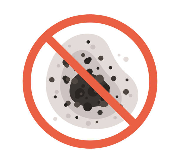 Best Basement Mold Removal  in Los Gatos, CA