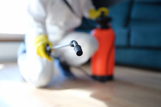 Best Forensic Mold Investigation  in Los Gatos, CA
