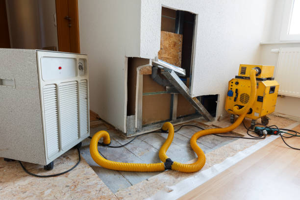 Best Air Quality Testing for Mold Spores  in Los Gatos, CA